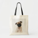 Buscar sentada del bebé accesorios Cachorro