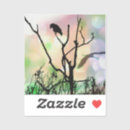 Buscar cuervos negros pegatinas Pájaros