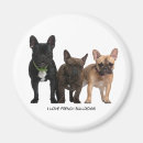 Buscar raza del perro imanes General y unisex