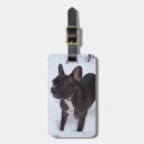 Buscar frenchie accesorios Bulldoges franceses