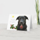 Buscar labrador negro tarjetas General y unisex
