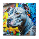 Buscar graffiti azulejos Ciudad