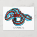 Buscar san mateo postales General y unisex