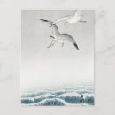 Buscar koson postales Gaviota