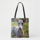 Buscar variedad bolsos Perro