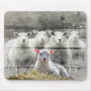 Buscar cordero alfombrillas de raton Rebaño de ovejas