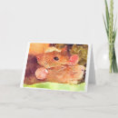 Buscar ratties Roedores