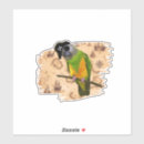 Buscar tesoro del pirata pegatinas 4 º asignación