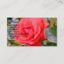 Buscar red rose tarjetas de visita Floral