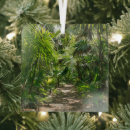 Buscar bosque tropical adornos Palmera