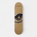Buscar ojo tablas de skate Ilustracion