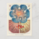 Buscar fish postales Vintage