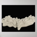 Buscar ciencias naturales posters Visión de primer plano