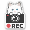 Buscar aviso pegatinas parachoque Vídeo