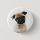 Buscar pug chapas Adorable