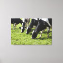 Buscar vacas lecheras posters Al aire libre