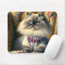 Buscar himalaya Gatito