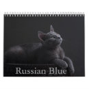 Buscar gato calendarios Felino