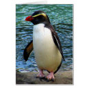 Buscar fiordland Nueva zelandia