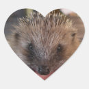 Buscar engomadas pegatinas Amor