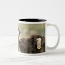 Buscar asta tazas Animal