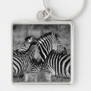 Buscar zebra llaveros Vida silvestre