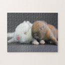 Buscar enanos puzzles Conejo