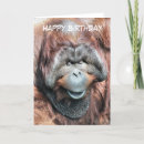 Buscar orangután tarjetas Primates