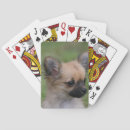 Buscar headshot barajas de cartas De pelo largo