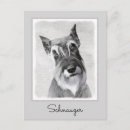 Buscar schnauzer gigante postales Perro