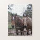 Buscar caballo cuarto puzzles Caballos