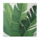 Buscar plantas tropicales azulejos Verde