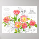Buscar rosas salvajes posters General y unisex