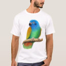 Buscar pionus Loro