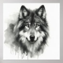 Buscar lobo gris posters Naturaleza