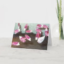 Buscar tulipanes blancos tarjetas General y unisex