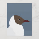 Buscar koson postales Pájaro