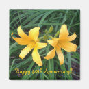 Buscar dobles imanes Para ellos