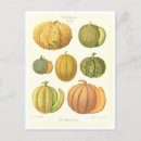 Buscar melón postales Vintage