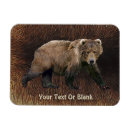 Buscar kodiak imanes Vida silvestre