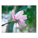 Buscar ballerina arte Femenino