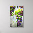 Buscar uvas lienzos Vid