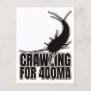 Buscar insectos postales Entomólogo