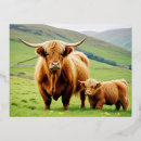 Buscar amor animal postales Naturaleza