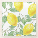 Buscar limones posavasos Catastro