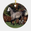 Buscar caballo árabe adornos Funcionamiento