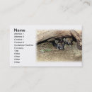 Buscar lobo gris tarjetas de visita Animales