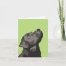 Buscar labrador negro tarjetas 8 º tarjeta