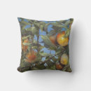 Buscar fruit cojines Colorido