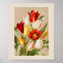 Buscar tulipán blanco posters Tulipanes